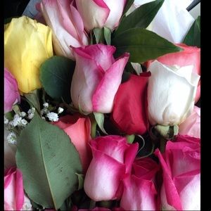 Meet your Posher, Sawsan